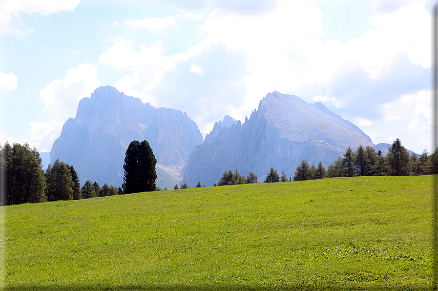 foto Alpe di Siusi